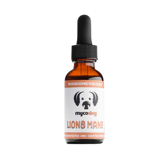 MycoDog | Lion's Mane Mushroom
