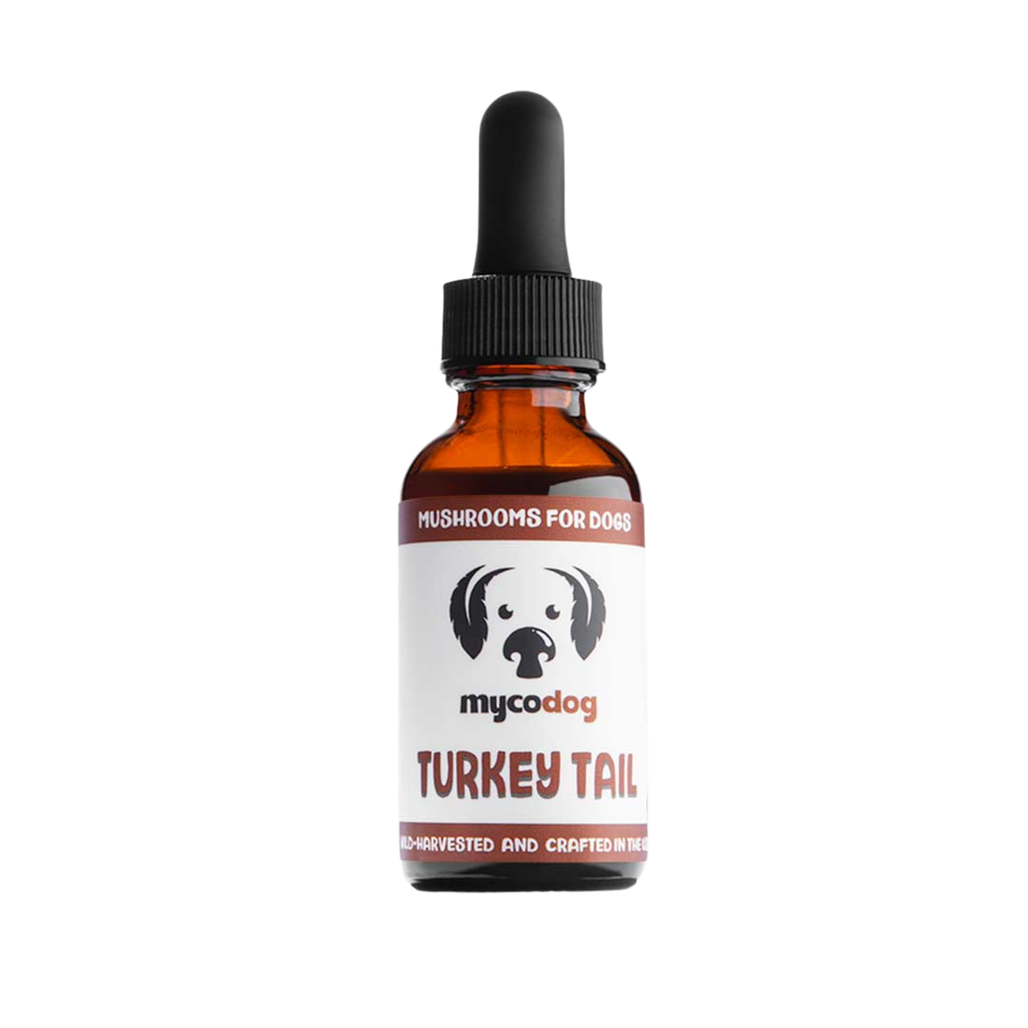MycoDog | Turkey Tail Mushroom